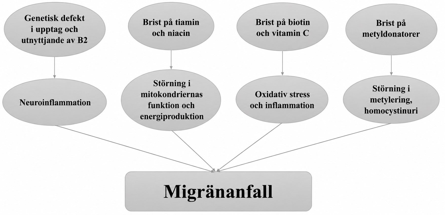 B vitamins and migraine swedish