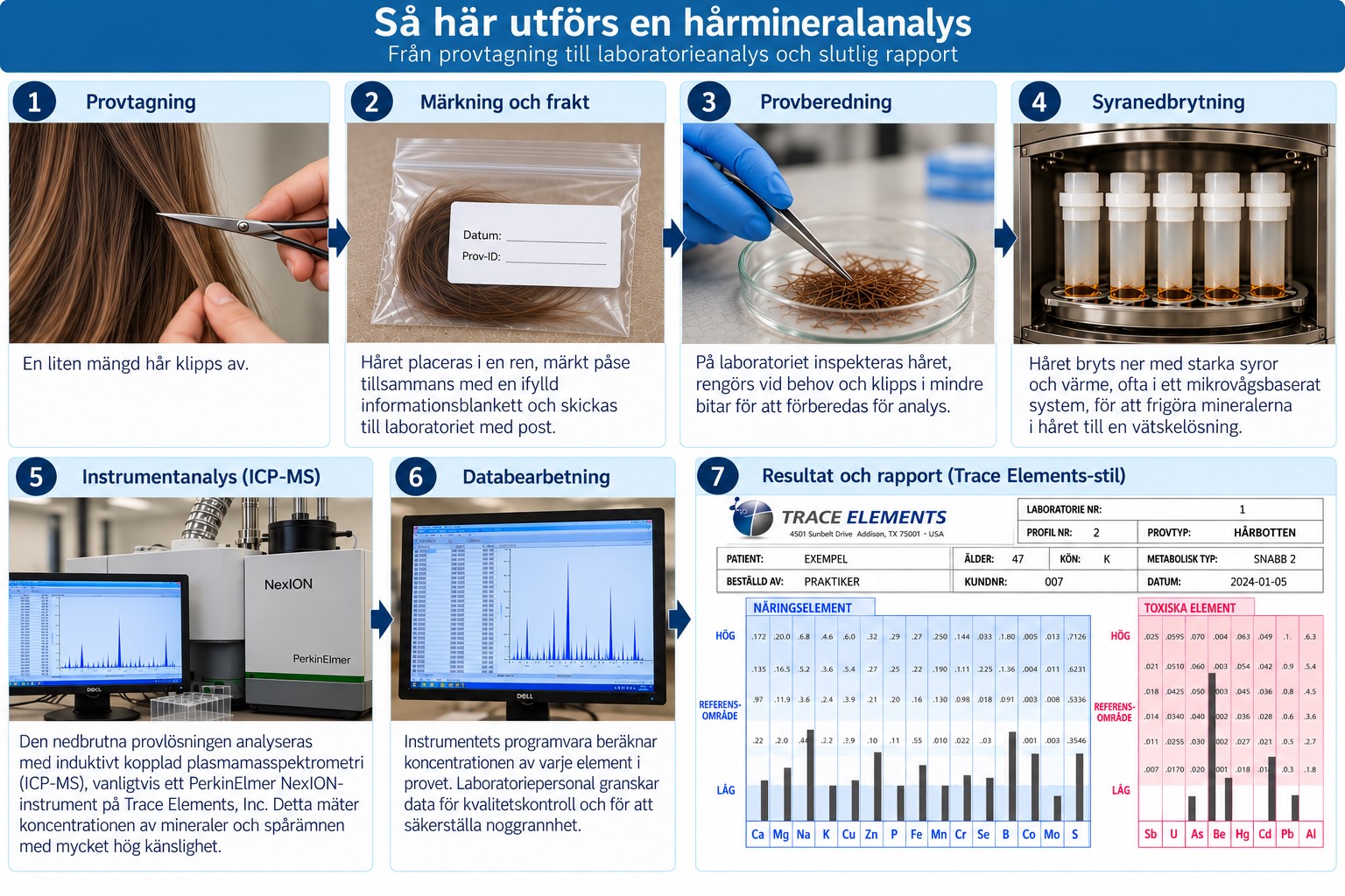 Så här utförs en hårmineralanalys