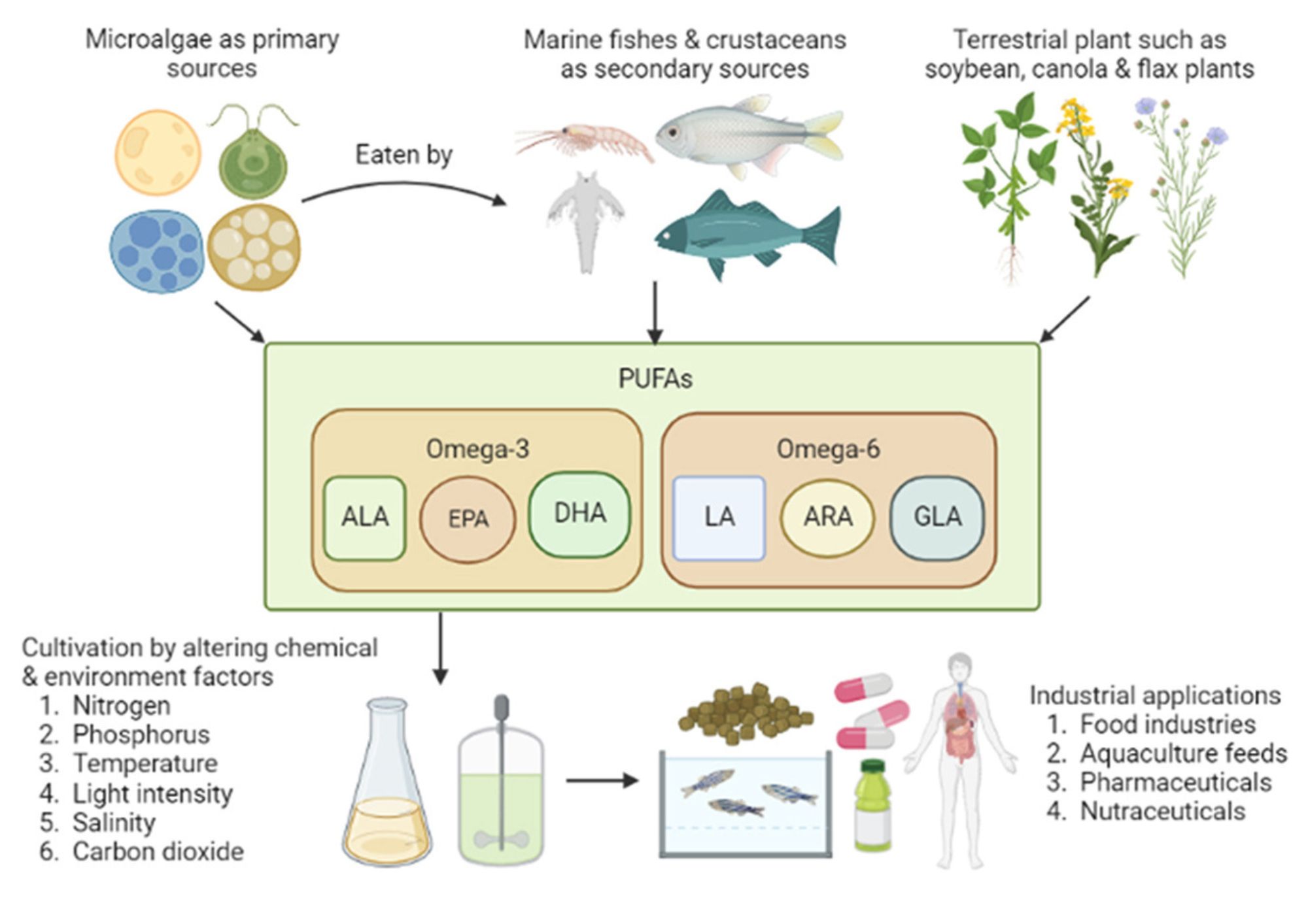 Microalgae 1