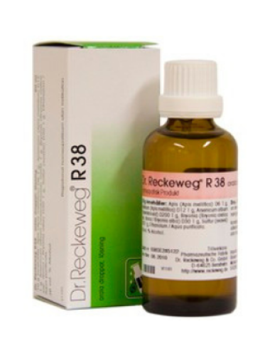 <span class="jp_product_title">R38 Komplexläkemedel Dr. Reckeweg 50 ml</span>