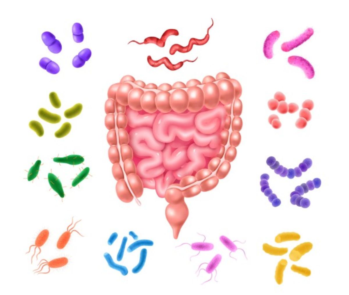 Hur man rensar kroppen från parasiter naturligt: effektiva örter och tecken att vara uppmärksam på