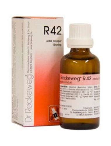 <span class="jp_product_title">R42 Komplexläkemedel Dr. Reckeweg </span>