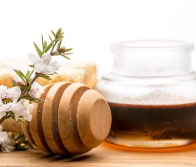 Stöd för immunsystemet med ämnen från naturen