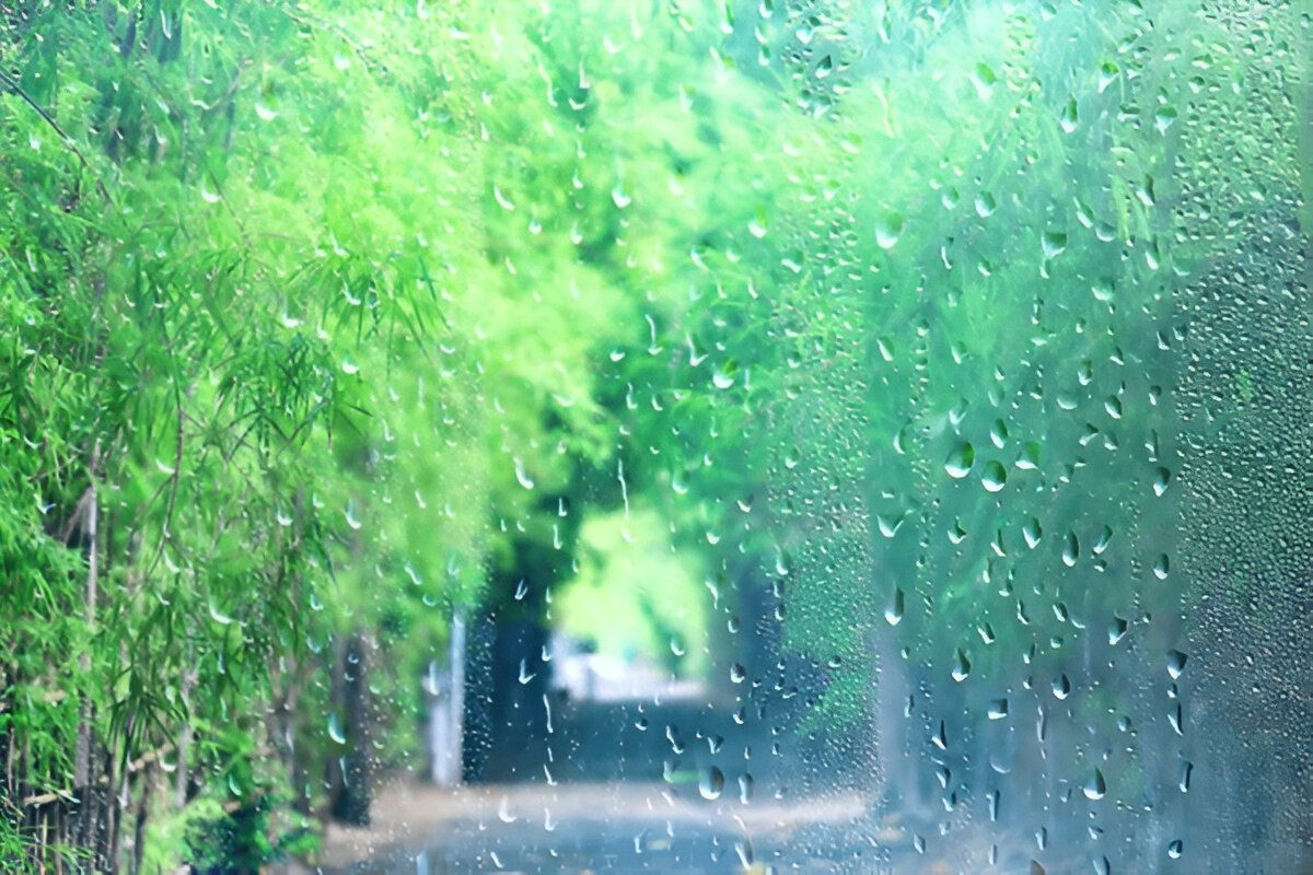 5 sätt att bli kvitt sommardeppet