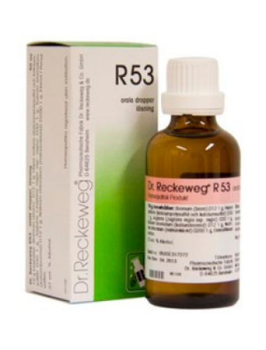 <span class="jp_product_title">R53 Komplexläkemedel Dr. Reckeweg 50 ml</span>